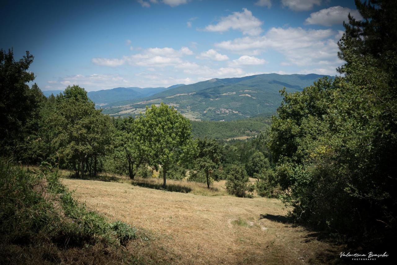 Castello Di Sarna Villa Chiusi della Verna Buitenkant foto