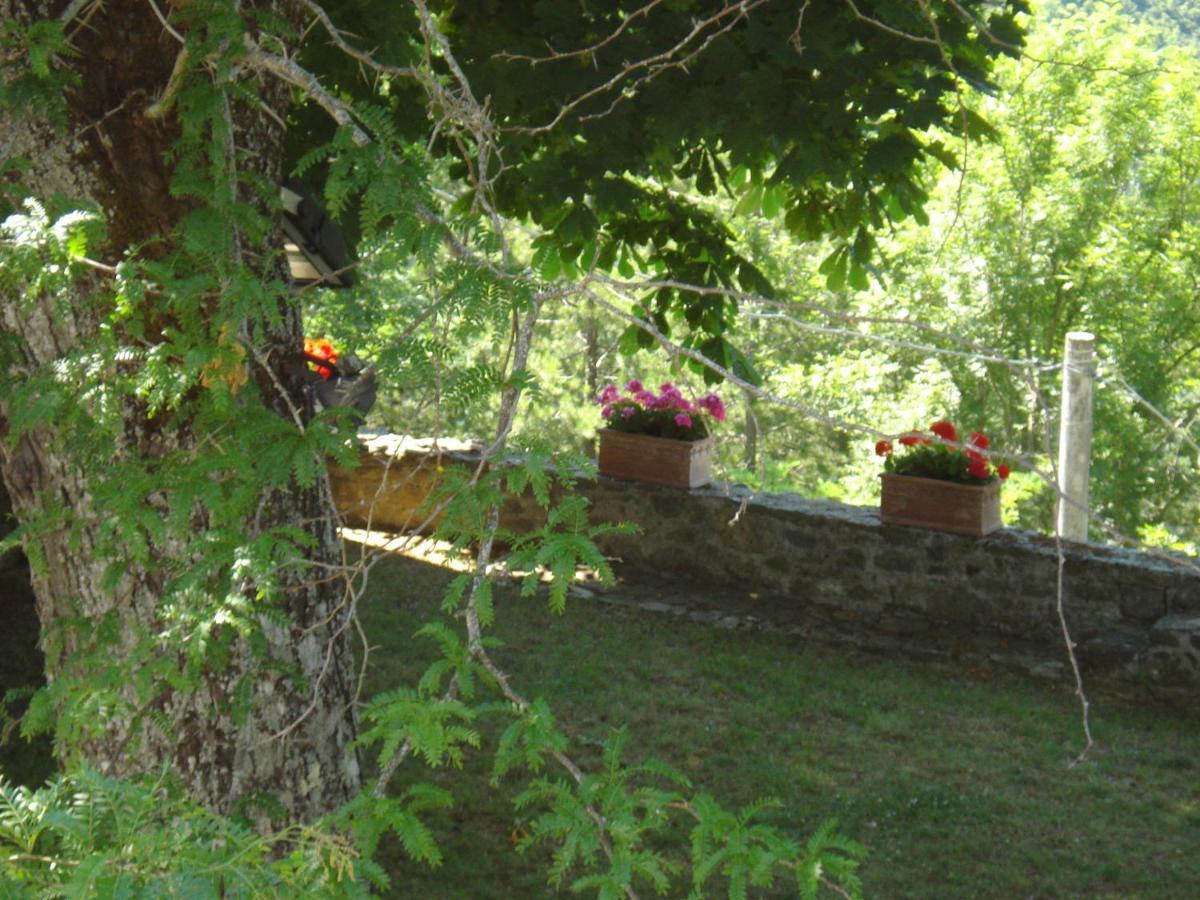 Castello Di Sarna Villa Chiusi della Verna Buitenkant foto