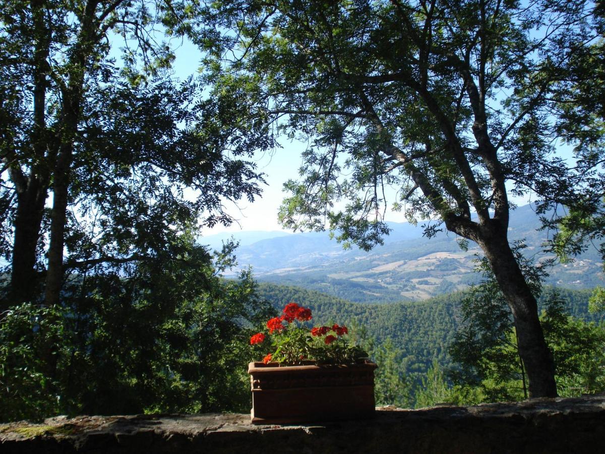 Castello Di Sarna Villa Chiusi della Verna Buitenkant foto